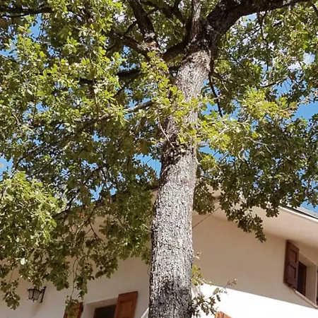 Le Querce Gaggio Montano